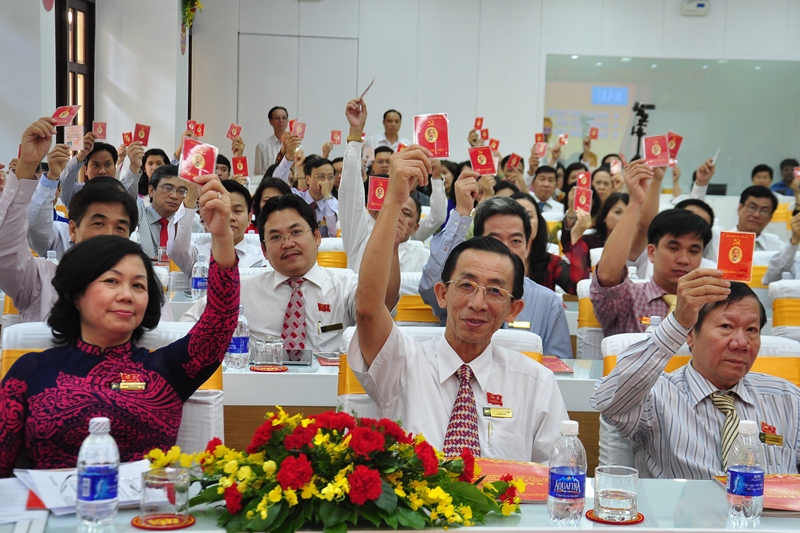 cá cược thể thao hul city